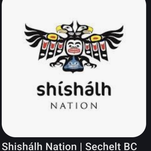 Vintage Indigenous Embroidered Cape Shawl - Picture 13 of 15